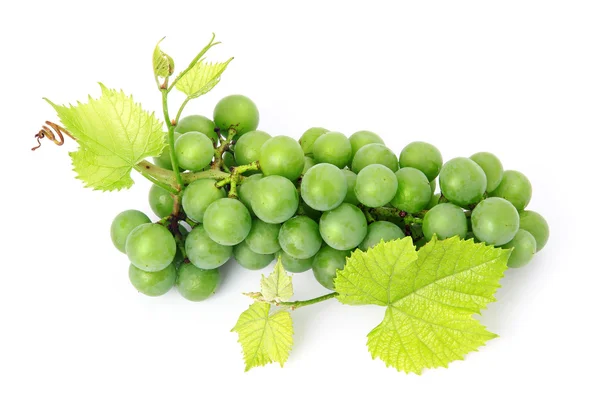 Friss szőlő gyümölcs, zöld levelek elszigetelt — Stock Fotó