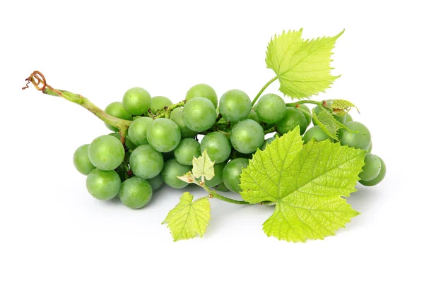 Свежие Фрукты Винограда Зелеными Листьями Белом Фоне — стоковое фото