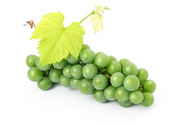 Friss Szőlő Gyümölcs Zöld Levelek Elszigetelt Fehér Alapon — Stock Fotó