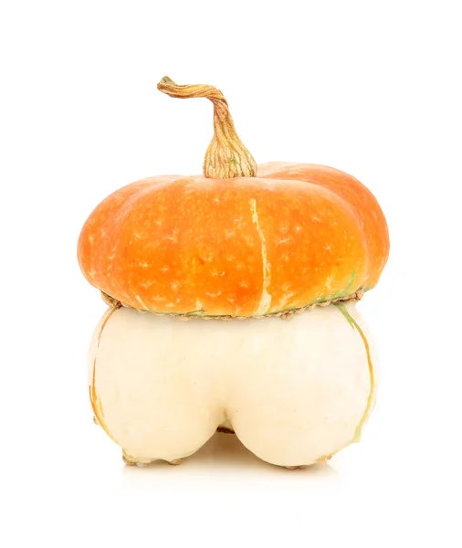 Ripe Gourds Vegetable Hybrid Isolated — Stock Photo, Image