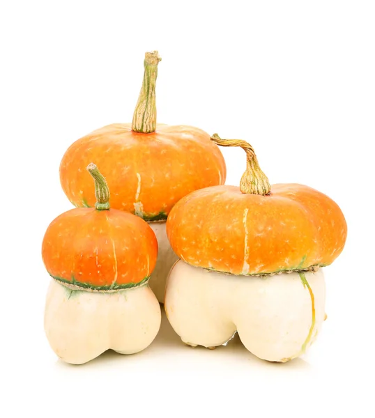 Gourds Mature Verdure Isolate Sfondo Bianco — Foto Stock