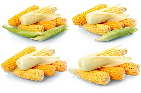 Set of fresh corn vegetables — Stock Photo, Image