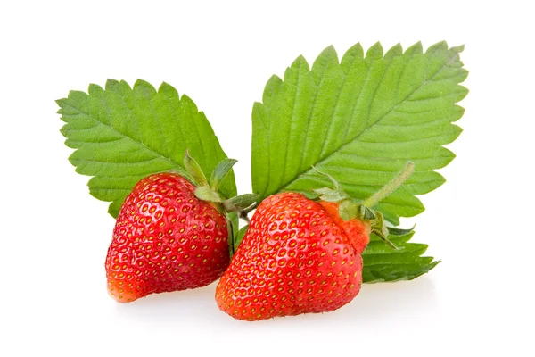 Κόκκινο φράουλα φρούτα με πράσινα φύλλα — Φωτογραφία Αρχείου