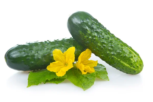 Green Cucumber Vegetable Leafs Flowers Isolated — Stock Photo, Image