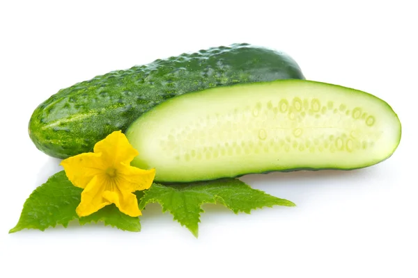 Légume Concombre Vert Avec Feuilles Fleurs Isolées — Photo