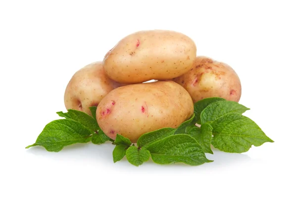 Hromadu zeleniny zralé brambory se zelenými listy — Stock fotografie