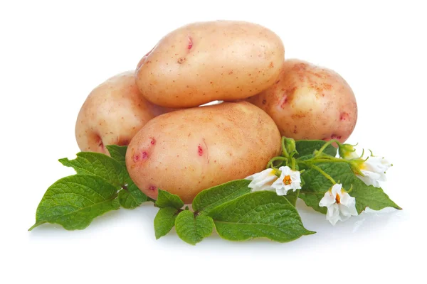 Heap of ripe potatoes vegetable with green leafs — Stock Photo, Image
