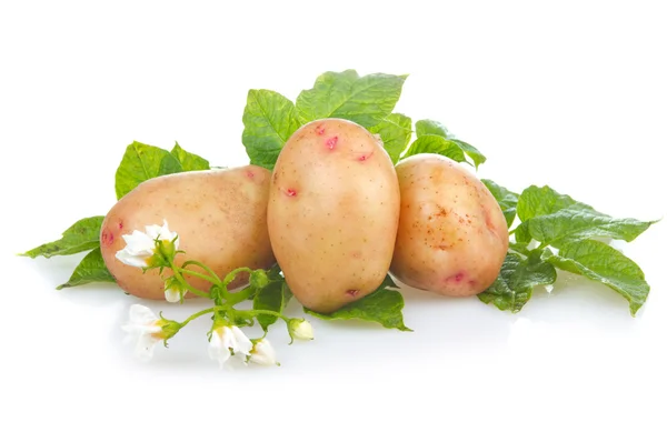Hoop Rijp Aardappelen Plantaardige Met Groene Bladeren Geïsoleerd Witte Achtergrond — Stockfoto