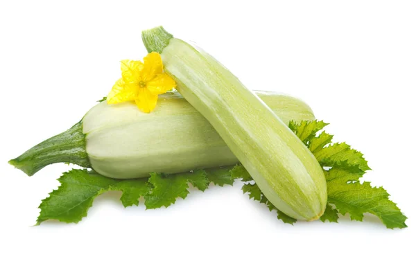 成熟骨髓蔬菜与孤立在白色背景上的叶 — 图库照片