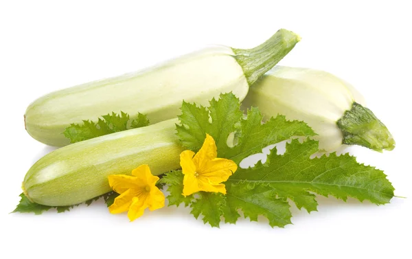 Ripe Marrow Vegetable Leaf Isolated White Background — Stockfoto