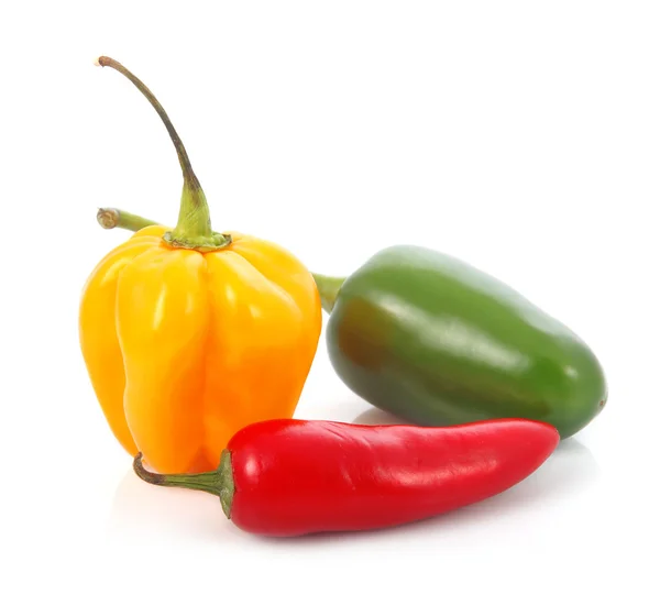 Trzy kolorowe papryka chili warzywa na białym tle — Zdjęcie stockowe