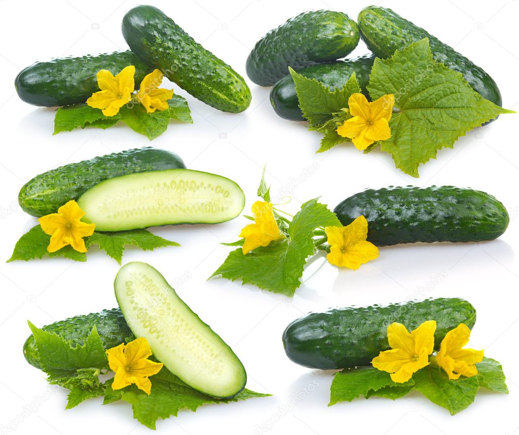 Set of cucumber vegetables with leafs and flowers isolated on white background