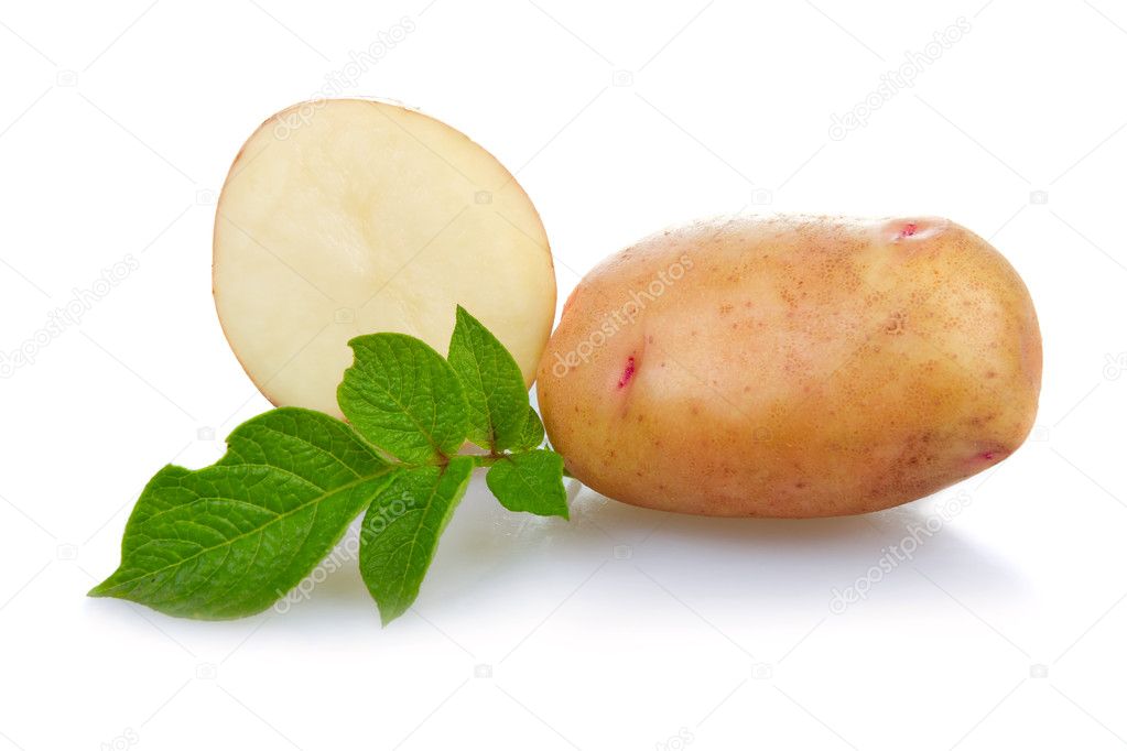 Ripe patatoes vegetable whith green leafs isolated on white background