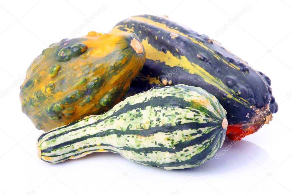 Ripe decorative gourd vegetables isolated on white background