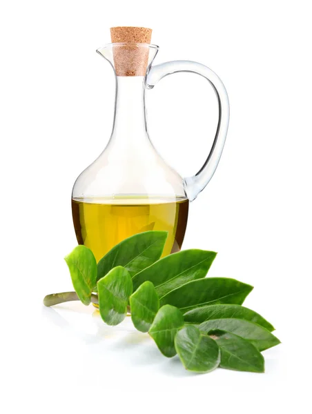Jug of olive oil and branch of bay leaf isolated — Stock Photo, Image