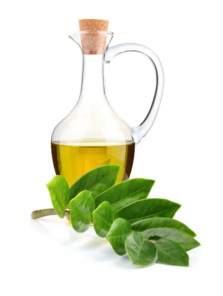 stock image Jug of olive oil and branch of bay leaf isolated