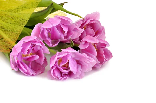 Tupil bouquet — Stock Photo, Image