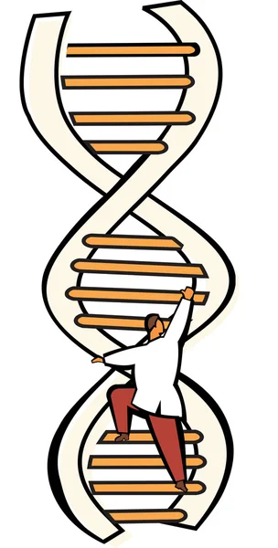 DNA merdiveni — Stok fotoğraf