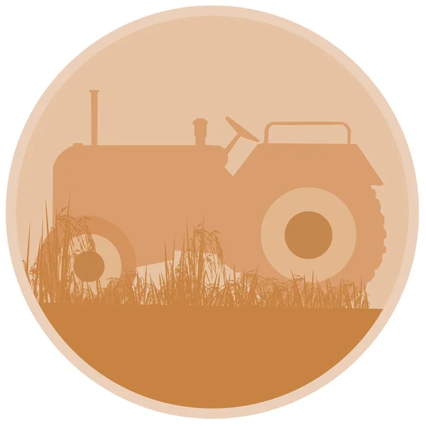 农业 — 图库照片