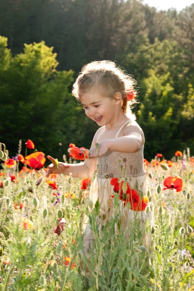 stock image Little smiling girl plaing in poppy field. sunshine on a summer day