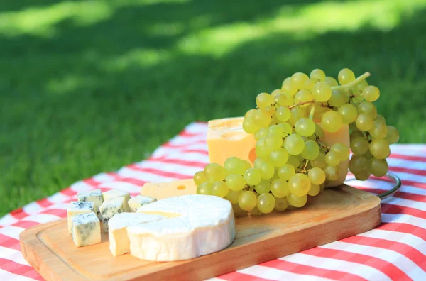 Käse mit weißen Trauben — Stockfoto