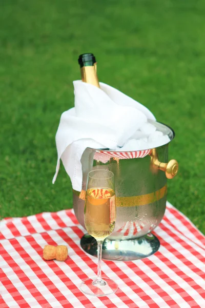 Champagne in glass — Stock Photo, Image