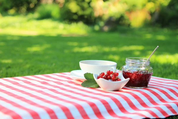 Czerwona Konfitura malinowa i herbaty w ogrodzie — Zdjęcie stockowe