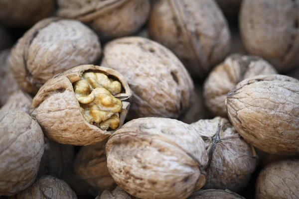 Close up walnuts — Stock Photo, Image