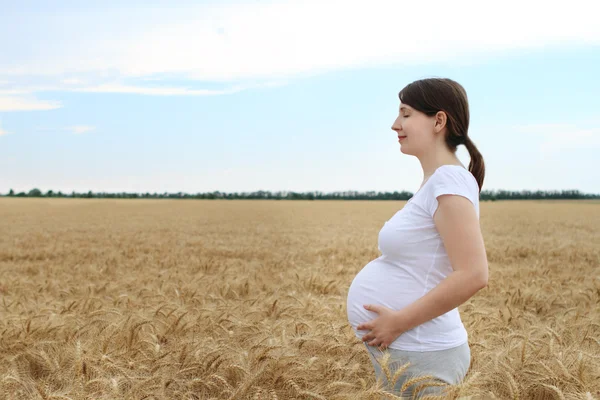 Szczęśliwa kobieta w ciąży w polu lato — Zdjęcie stockowe