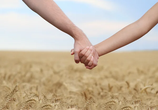 Young Couple Holding Hands Field Close — Stock Photo, Image