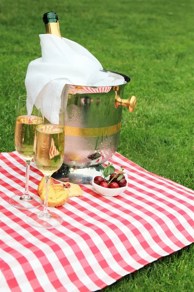 Summer picnic — Stock Photo, Image