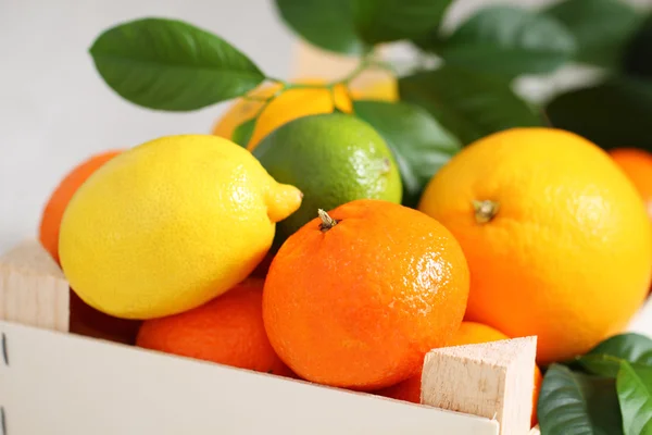 ボックスで新鮮な柑橘系の果物 — ストック写真