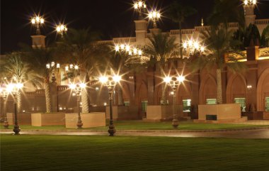 Park in the night with palms and lights clipart