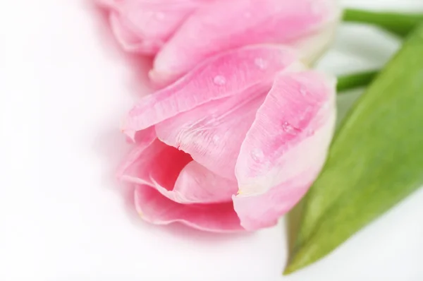 Tarjeta Felicitación Feliz Día San Valentín Con Tulipanes —  Fotos de Stock