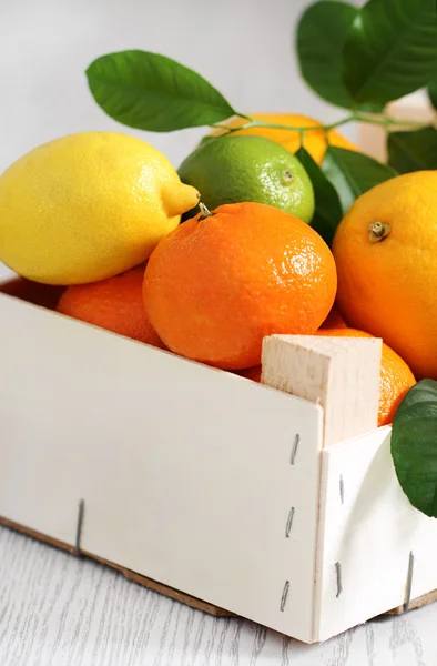 Fresh Citrus Fruits Wooden Box — Stock Photo, Image