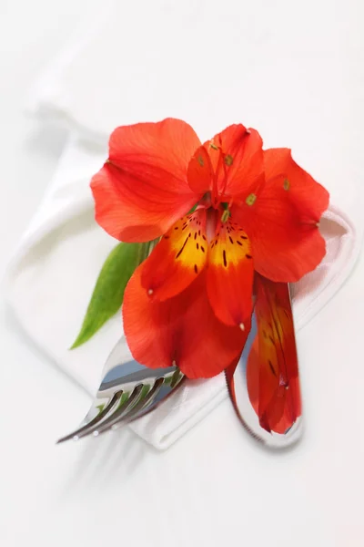 Dekorative Tischdekoration mit roter Blume — Stockfoto