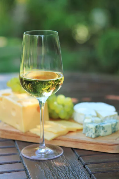Різні види сиру, винограду та білого вина — стокове фото