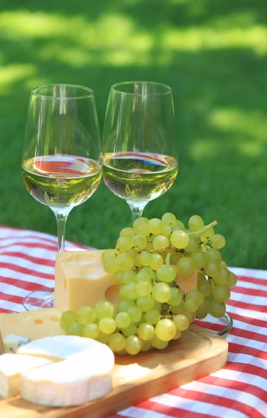 白ワインとチーズの様々 な種類 — ストック写真