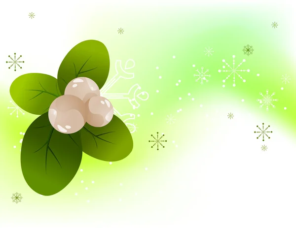 Christmas snowberry background — Stock Vector