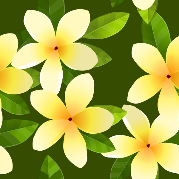Seamless pattern with frangiapani flowers — Stok Vektör