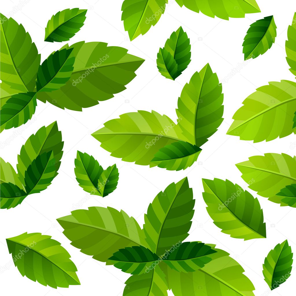 Seamless background mint leaves