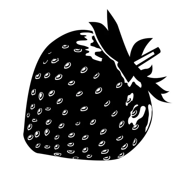 Černobílá jahoda — Stockový vektor