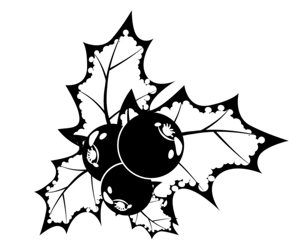 Baies de houx noir et blanc — Image vectorielle
