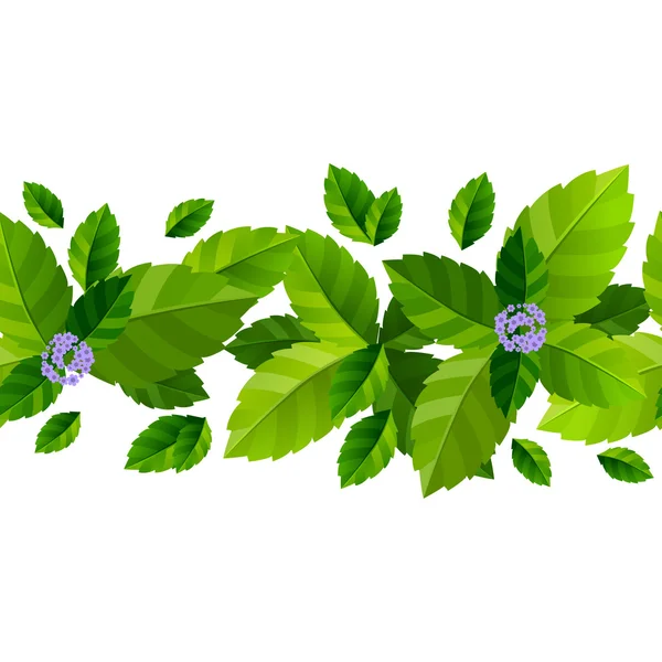 Sömlös bakgrund med färska gröna myntablad — Stock vektor