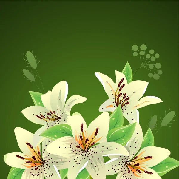绿色背景的白色百合花 — 图库矢量图片