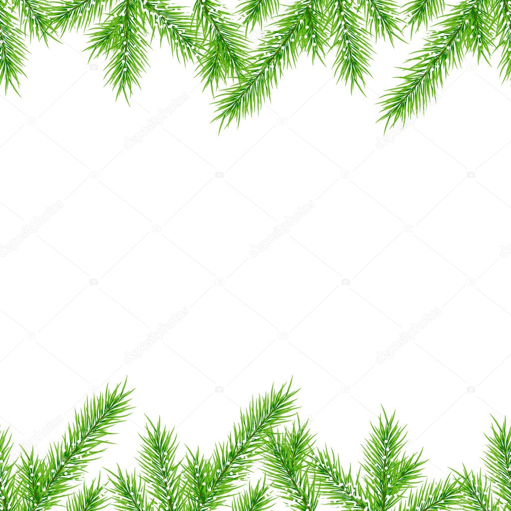 Seamless Christmas tree branches background