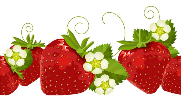 Nahtloser Rand mit Erdbeeren — Stockvektor