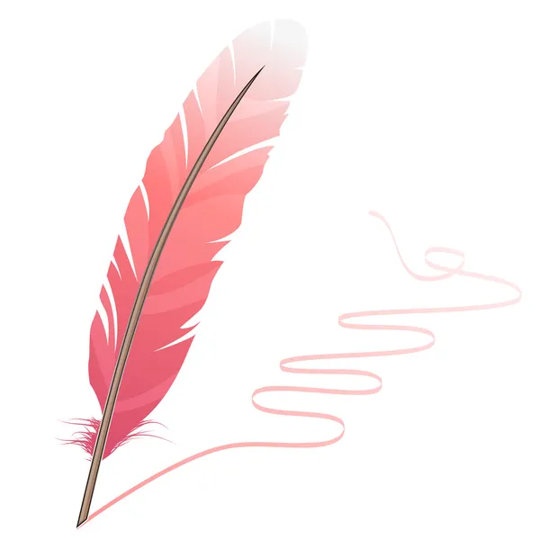Pink feather — Stock Vector