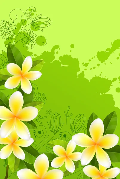Rahmen Mit Frischen Grünen Blättern Und Weißen Blüten — Stockvektor
