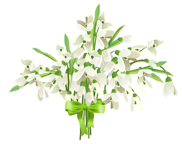 Snowdrop Bunch Green Bow Isolated White Background — Stock Vector